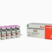 注射用单磷酸阿糖腺苷